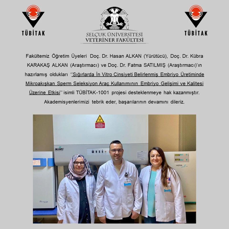 Tebrik